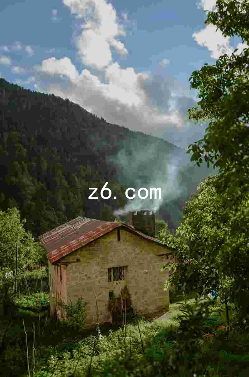 z6.com