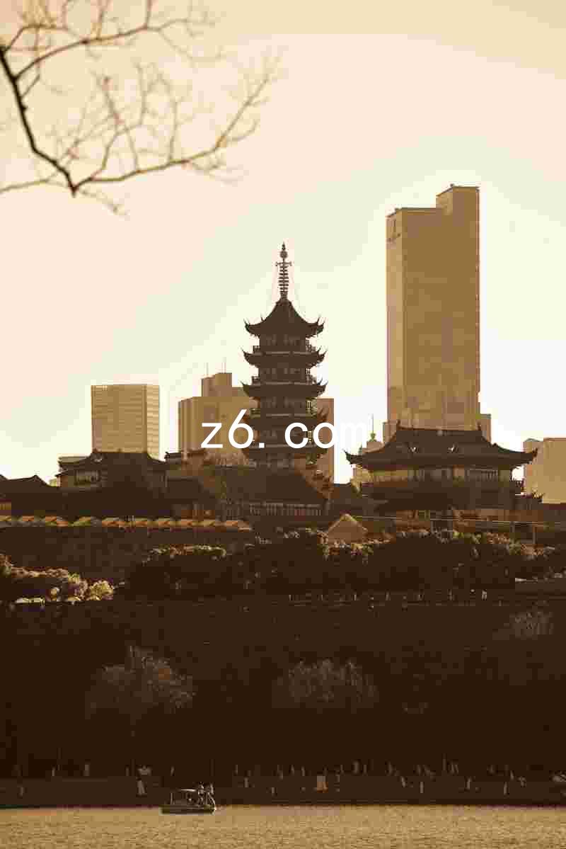 z6.com