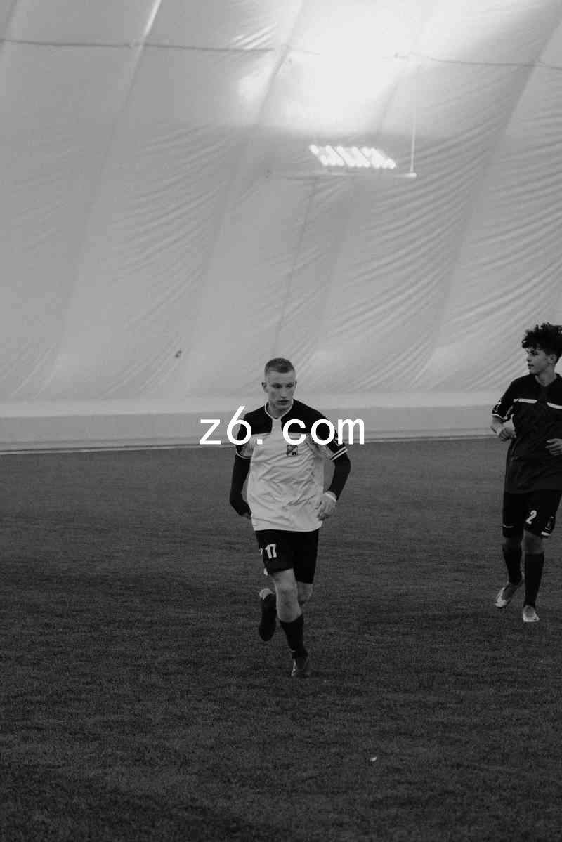 z6.com
