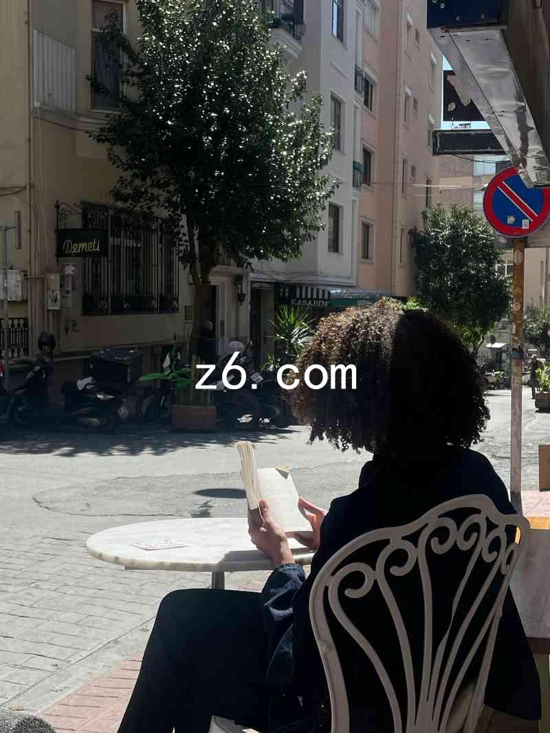 z6.com